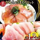 訳あり びんちょうまぐろブロック(刺身用)びんちょうまぐろ漬け セット [20564779] 