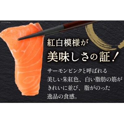 定期便 ノルウェー産 アトランティックサーモン 総重量800g ×12回 [20564520