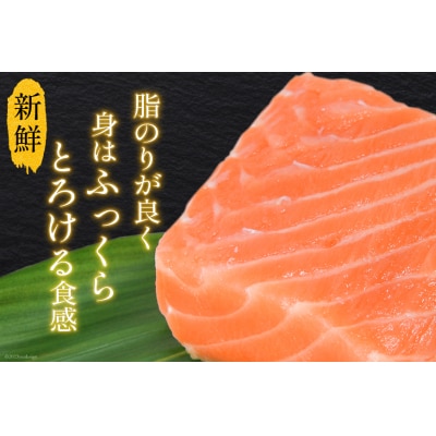定期便 ノルウェー産 アトランティックサーモン 総重量800g ×12回 [20564520