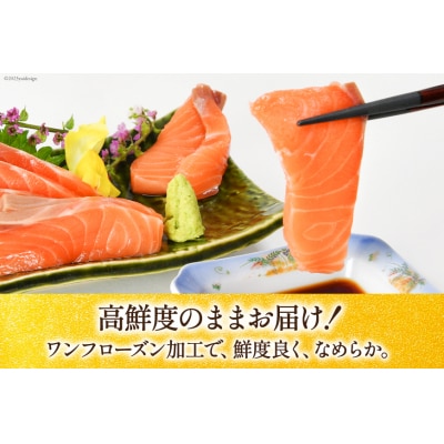 定期便 ノルウェー産 アトランティックサーモン 総重量800g ×12回 [20564520