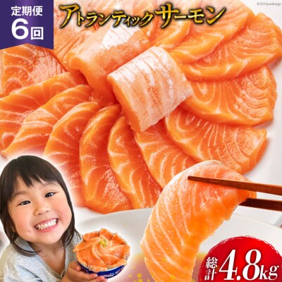 定期便 ノルウェー産 アトランティックサーモン 総重量800g×6回 [20564519
