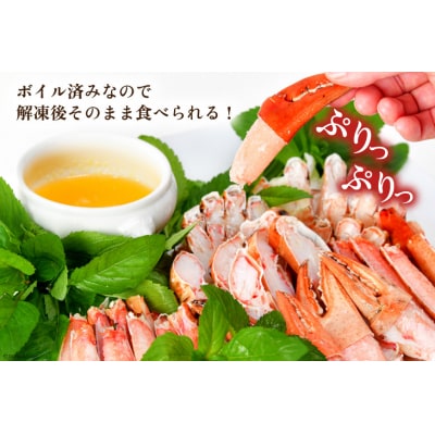 大人気!リピーター続出 まるずわいがに 肩脚肉 総重量3kg 9-15肩相当 20563327 
