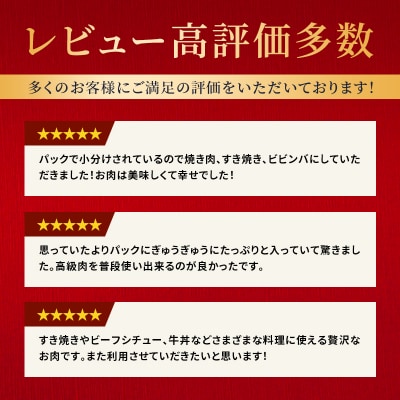 神戸牛 切落とし 250g×2P[No5698-1859]
