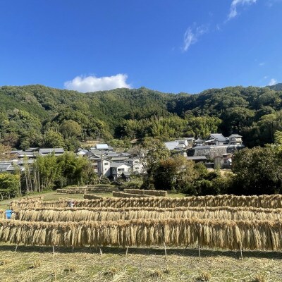 奈良・明日香村の棚田米(白米)3kg