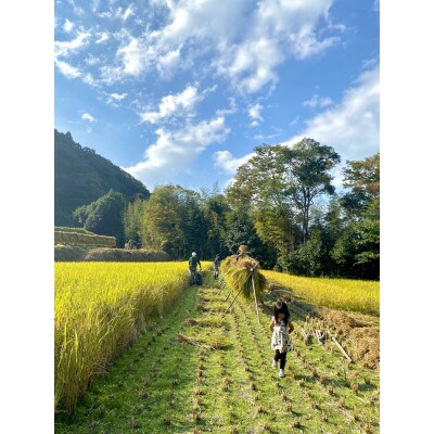 奈良・明日香村の棚田米(白米)3kg