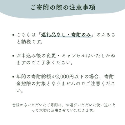 【返礼品なし】明日香村への寄附 1口:100000円 寄付のみ 応援【ふるさと納税】