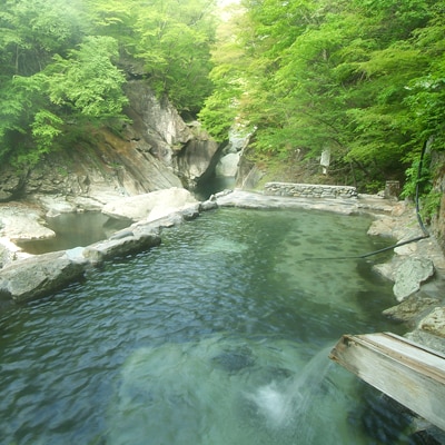 ⇒ さとふる 塩原温泉宿泊券ペア1泊2食(松コース) 栃木県那須塩原市