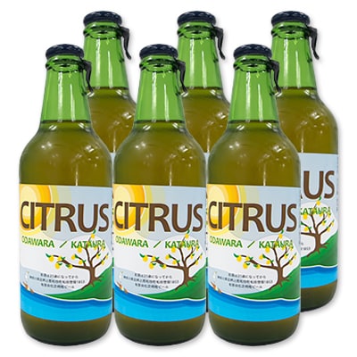 【足柄地ビール】CITRUSびあ 330ml×6本