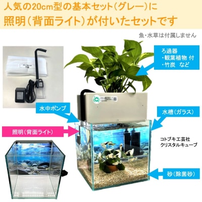 特注ガラス水槽　600×200×200　4室　ブラック　ポンプ付き　未使用 特注ガラス水槽 600×200×200 4室 ブラック ポンプ付き 未使用