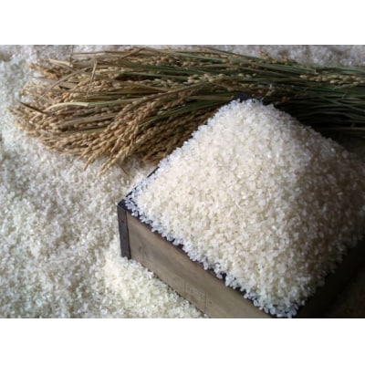 【定期便】令和8年産 ななつぼし5kg×12回　【B03】