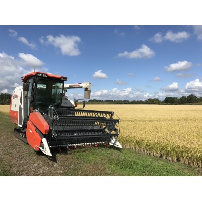 【定期便】令和8年産　ゆめぴりか　5kg×12回【B11】