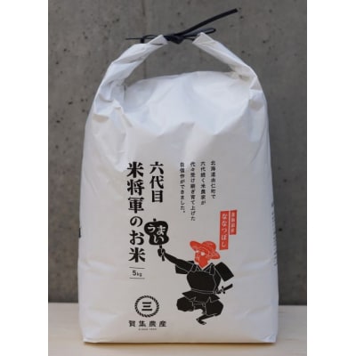 無洗米　令和8年産 ななつぼし 10kg【C14】