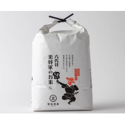 【定期便】無洗米 令和7年産 ななつぼし 5kg×6回【C19】