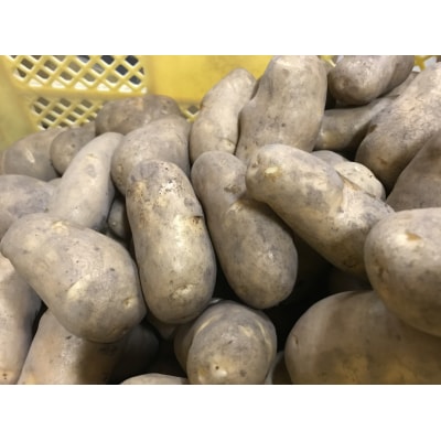 じゃがいも(メークイン)　Sサイズ　20kg　【B37】