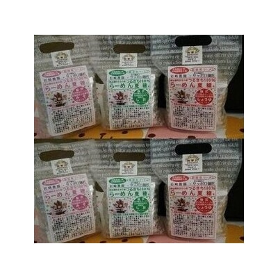 岩崎さん家のラーメンセット【P01】