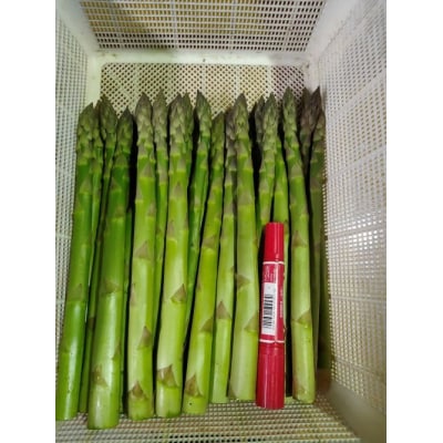 北海道由仁町産　オーガニック　グリーンアスパラ　1kg【X02】