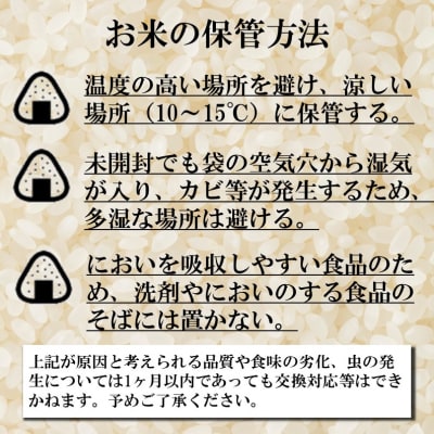 【3カ月定期】ゆきむつみ　10kg(5kg×2個)計30kg【TT16】