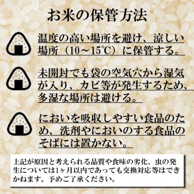 【3ヶ月定期】ゆめぴりか　10㎏(5kg×2個)　計30kg【TT06】