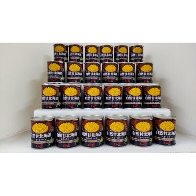 キッチン飛騨 黒毛和牛ビーフカレー 290g×9缶 でかかっ