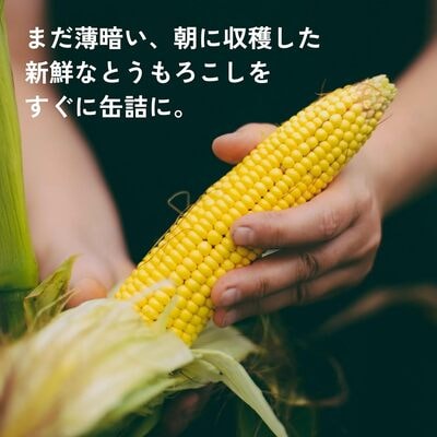 日食 北海道産スイートコーン(ホールカーネル) 230g缶×24缶【A23】