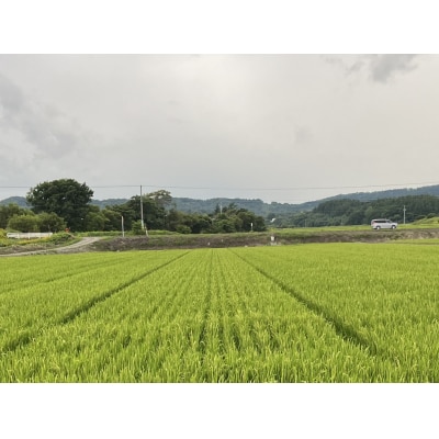 令和7年産　ななつぼし　玄米　30kg【QQ01】