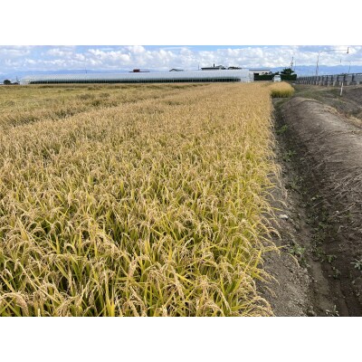 令和8年産　ななつぼし　玄米　30kg【QQ01】