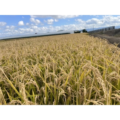 令和7年産　ななつぼし　玄米　30kg【QQ01】
