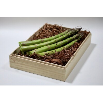 【北海道由仁町】春の恵みをお届け!朝採りグリーンアスパラ 1kg【QQ02】