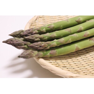 【北海道由仁町】春の恵みをお届け!朝採りグリーンアスパラ 1kg【QQ02】