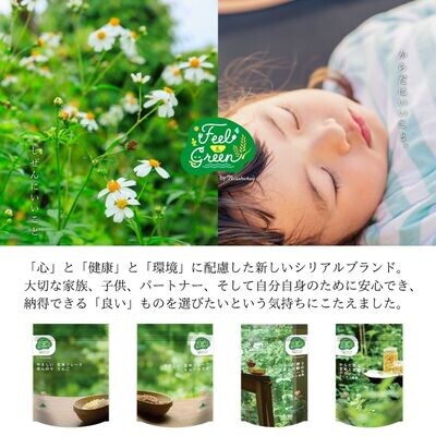 日食 からだ想いのシリアル 4種食べ比べセット【A34】