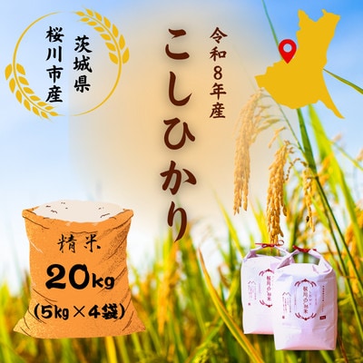 【生産者支援】《令和8年産先行予約》桜川市産こしひかり 計20kg(5kg×4袋)