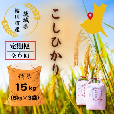 【毎月定期便】桜川市産こしひかり 計15kg(5kg×3袋)全6回