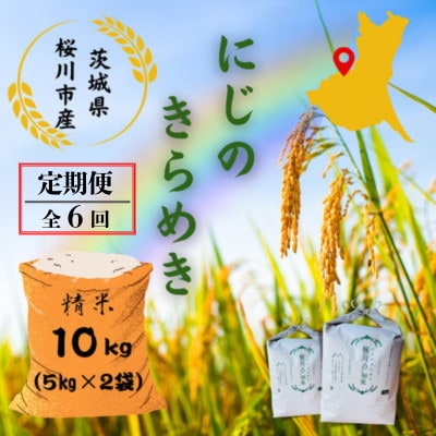 【毎月定期便】桜川市産にじのきらめき 計10kg(5kg×2袋)全6回