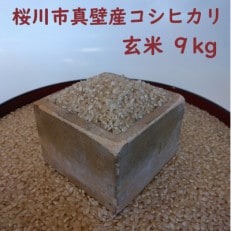 桜川市真壁産コシヒカリ 玄米 9kg