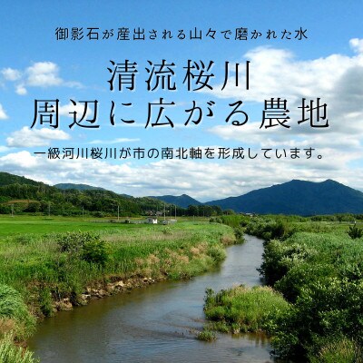 ★年明け発送★【農家応援】令和4年産「茨城県桜川市産こしひかり」15kg