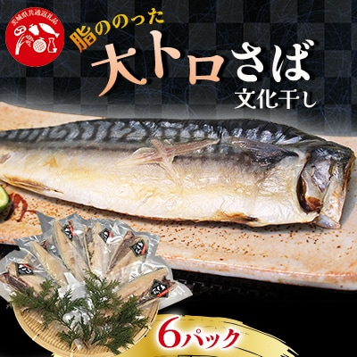 大トロさば文化干し6パック　茨城県共通返礼品神栖市加工
