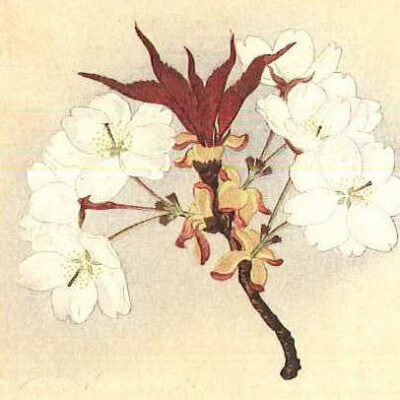 「桜川七宝」より初見桜の七宝ペンダント
