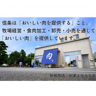 【常陸牛】A5等級 サーロインブロック 約6kg