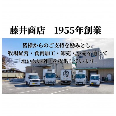 【常陸牛】A5等級 サーロインブロック 約9kg