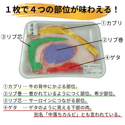 【常陸牛】ハミデルカルビ 1kg(6～10枚)