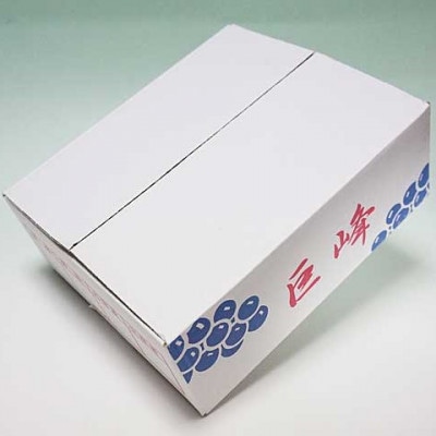 【2025年先行受付】巨峰 約1.5kg( 種あり )茨城県共通返礼品　石岡市