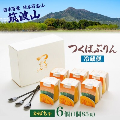 つくばぷりん かぼちゃぷりん 6個 ふじ屋 茨城県桜川市