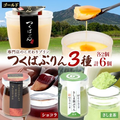 ゴールドぷりん ショコラ・ヴィノ・プディング さしま茶プリン 各2個 計6個 ふじ屋 茨城県桜川市