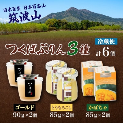 ゴールドぷりん & とうもろこしプリン & かぼちゃぷりん 各2個 計6個 ふじ屋 茨城県桜川市
