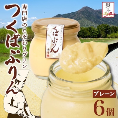 熨斗付き つくばぷりん プレーン 6個 冷凍 ふじ屋 茨城県桜川市