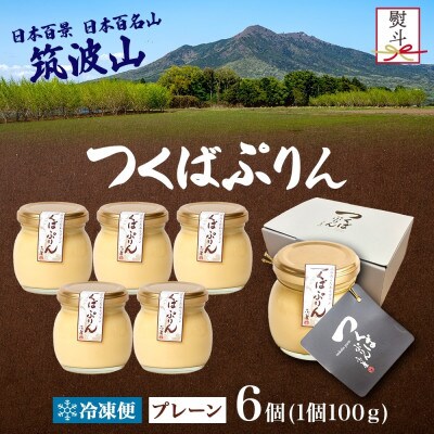 熨斗付き つくばぷりん プレーン 6個 冷凍 ふじ屋 茨城県桜川市