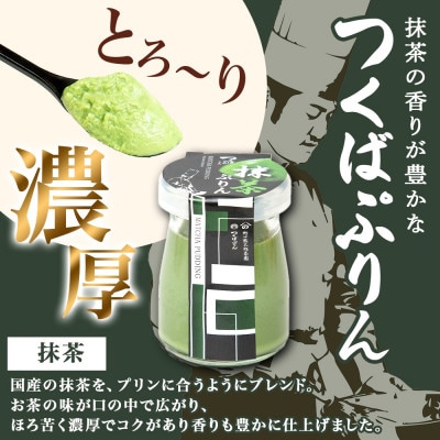熨斗付き つくばぷりん 抹茶ぷりん 6個 冷凍 ふじ屋 茨城県桜川市