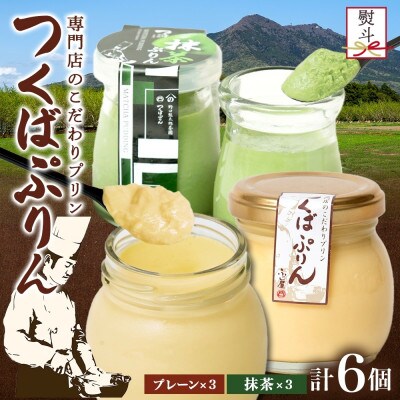 熨斗付き つくばぷりん プレーン & 抹茶ぷりん 各3個 計6個 冷凍 ふじ屋 茨城県桜川市