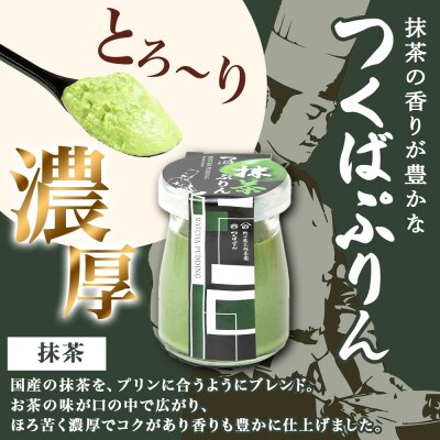熨斗付き つくばぷりん プレーン & 抹茶ぷりん 各3個 計6個 冷凍 ふじ屋 茨城県桜川市