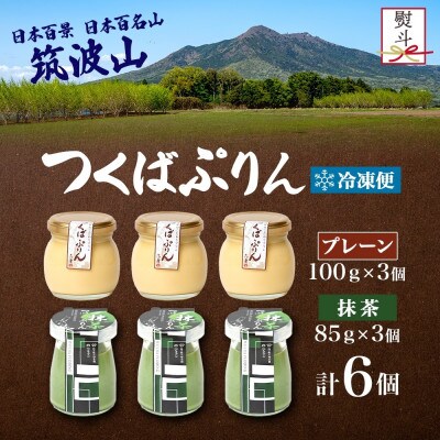 熨斗付き つくばぷりん プレーン & 抹茶ぷりん 各3個 計6個 冷凍 ふじ屋 茨城県桜川市